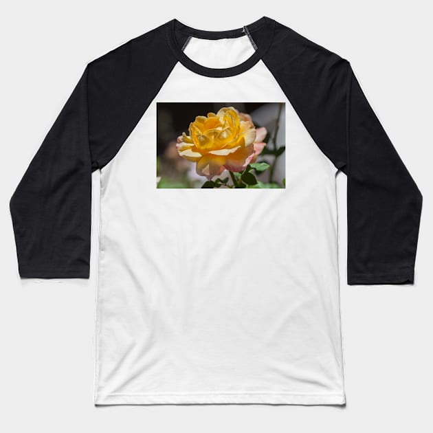 Yellow Rose Baseball T-Shirt by Withns